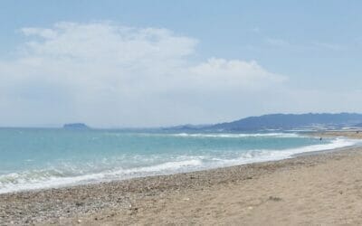 Playas para perros en Murcia