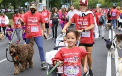 Perrotón 2023 – Healthvet Animal Health Partner