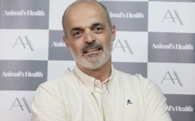 Debate en Animal’s Health: La Ley de Bienestar Animal y los seguros para perros en España