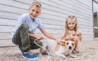 ¡Papá, mamá, quiero un perro!